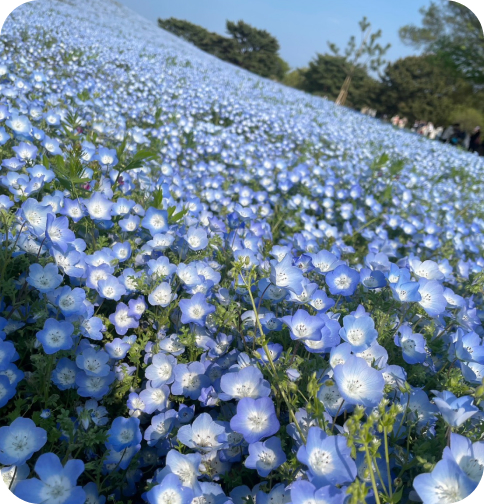 おの